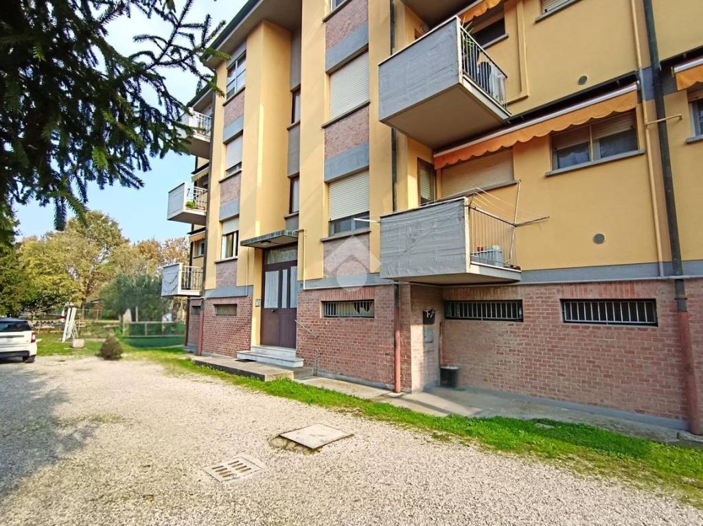 immagine annuncio 1 di 15