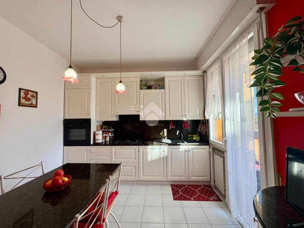 immagine annuncio 5 di 14