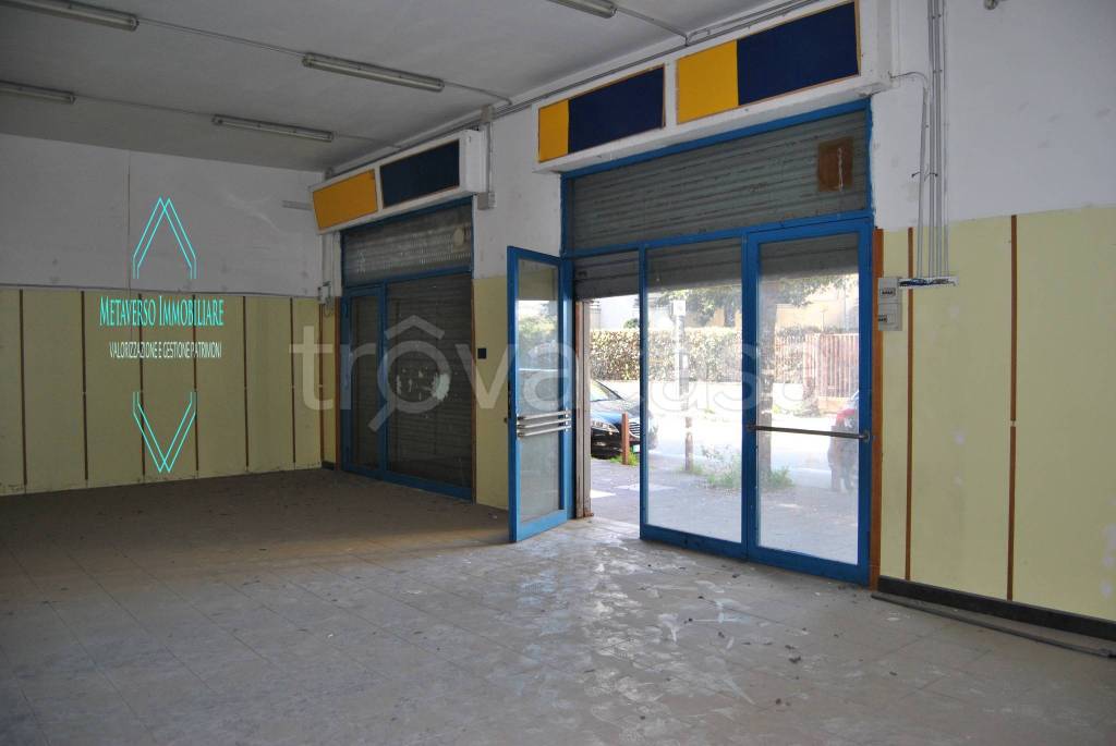 immagine annuncio 11 di 14