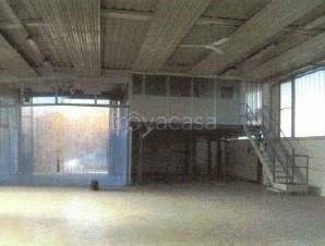 immagine annuncio 4 di 9