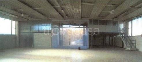 immagine annuncio 5 di 9