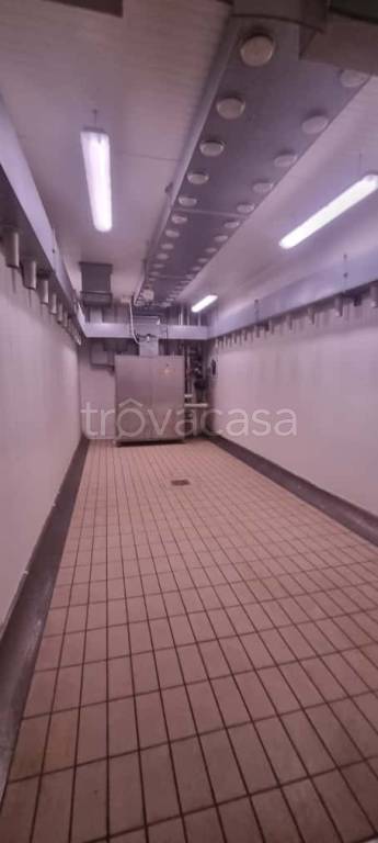 immagine annuncio 5 di 7