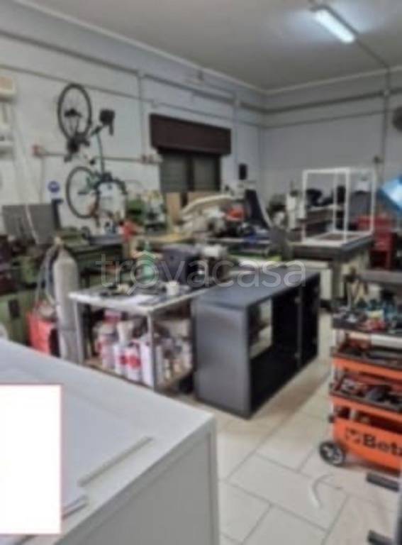 immagine annuncio 2 di 11