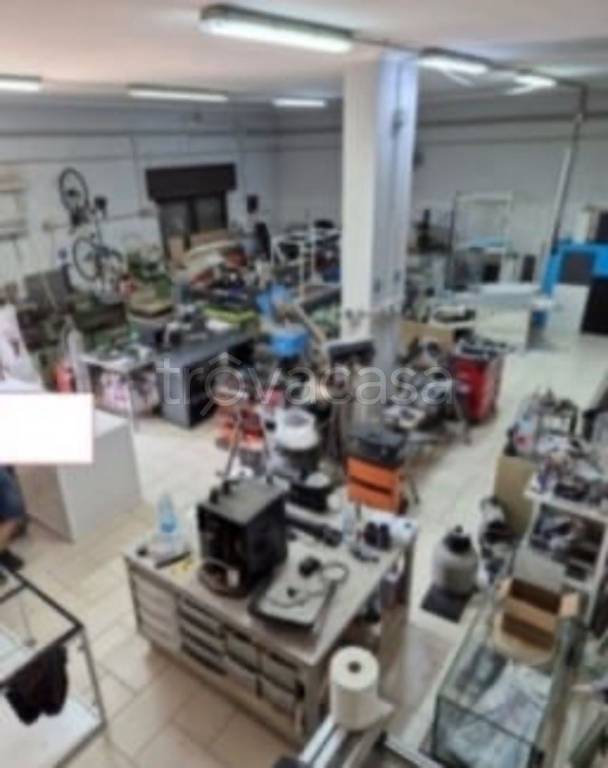 immagine annuncio 4 di 11