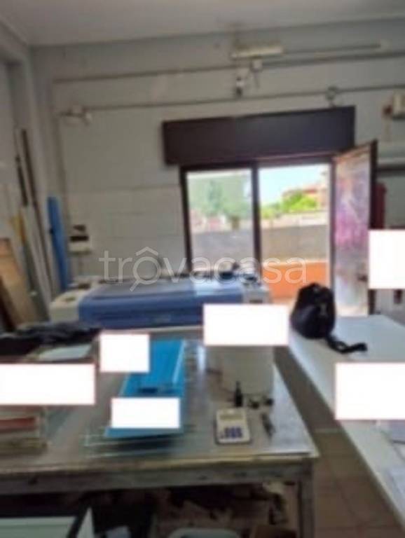 immagine annuncio 5 di 11