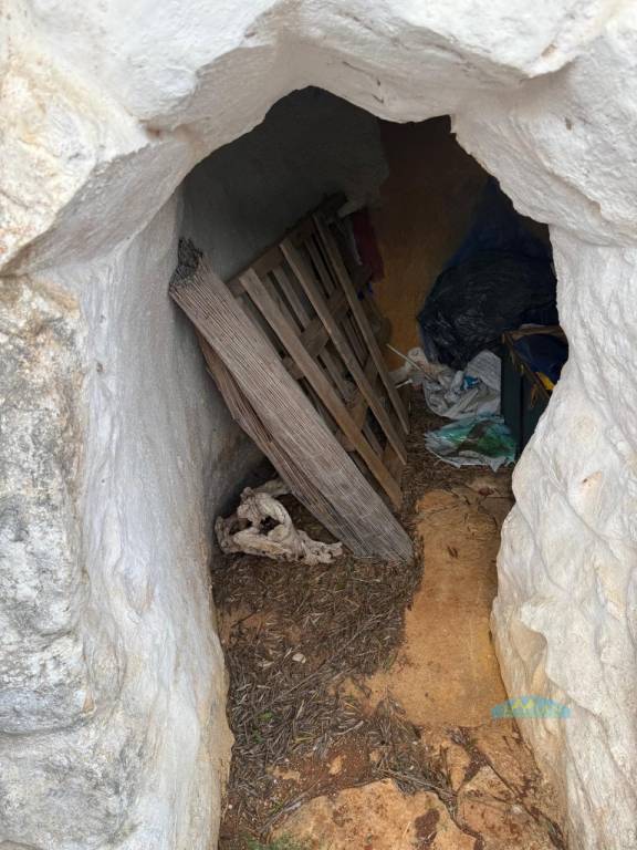 immagine annuncio 5 di 6