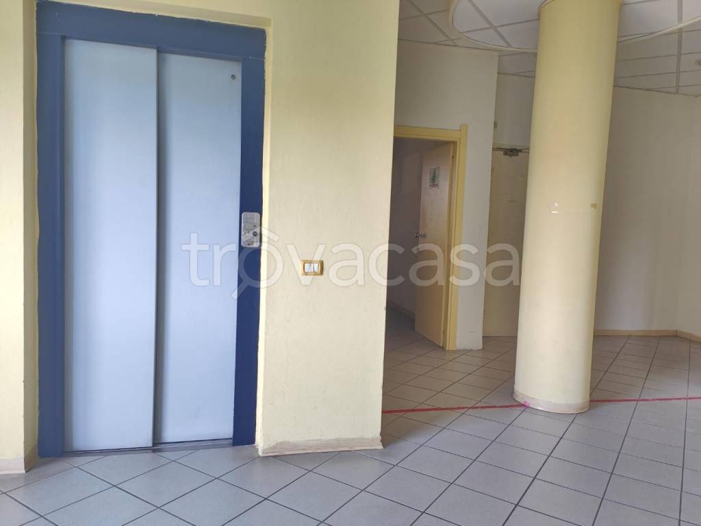 immagine annuncio 5 di 9