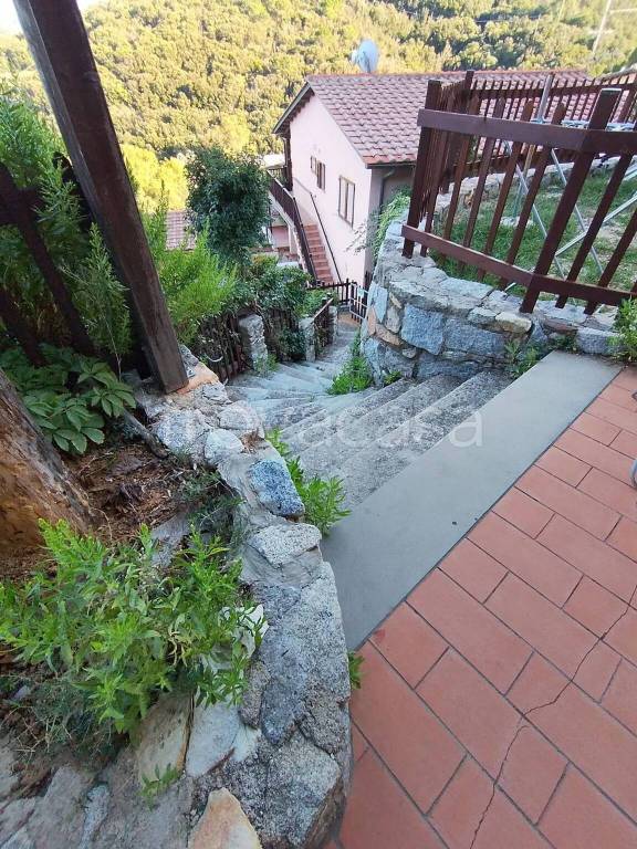 immagine annuncio 11 di 14