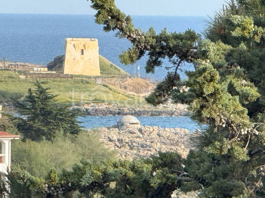 immagine annuncio 10 di 13