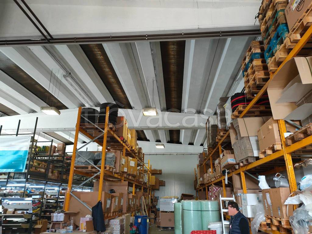 immagine annuncio 1 di 12