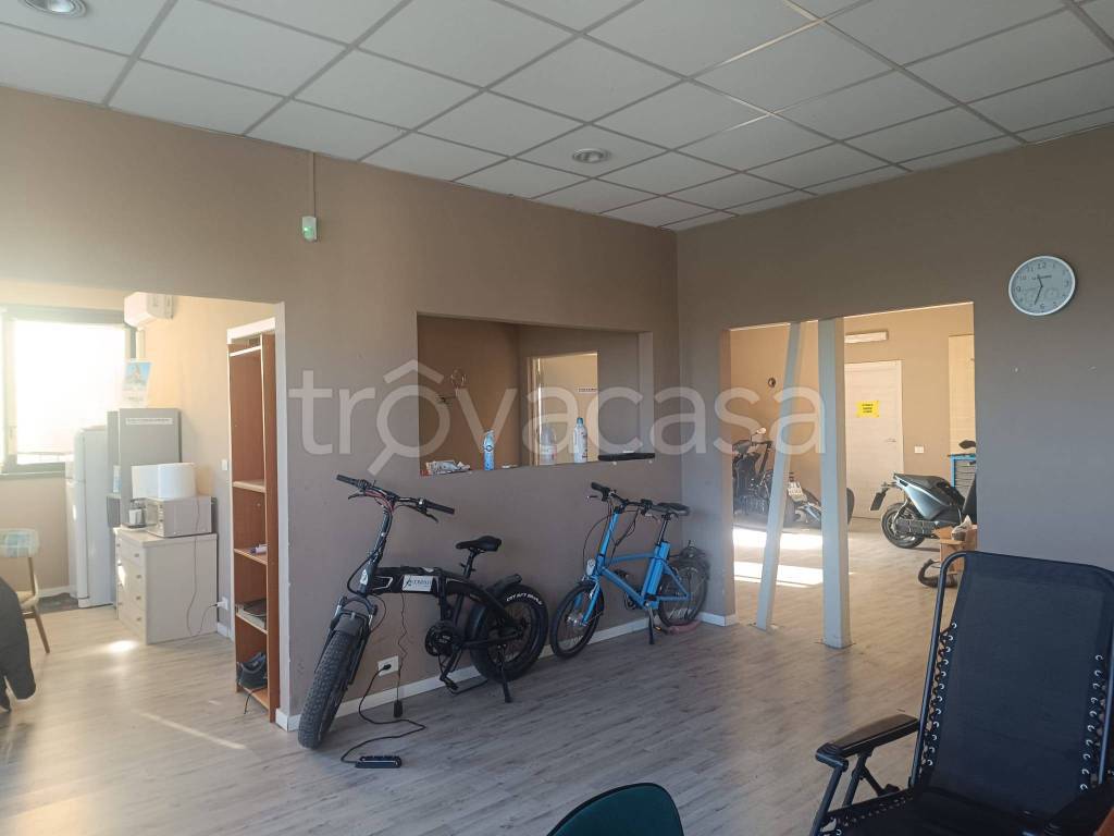 immagine annuncio 5 di 12