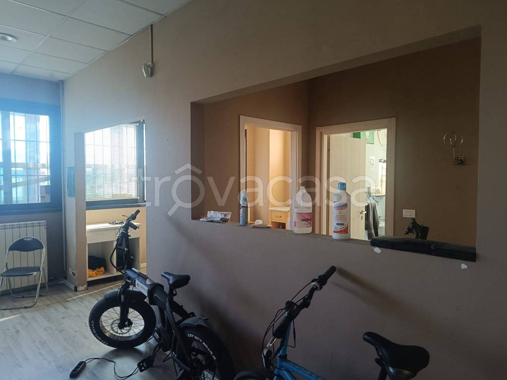 immagine annuncio 8 di 12