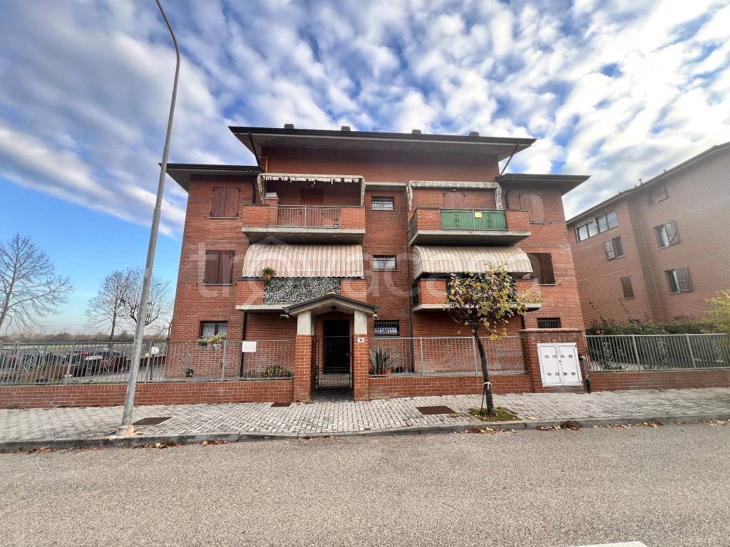 immagine annuncio 1 di 15