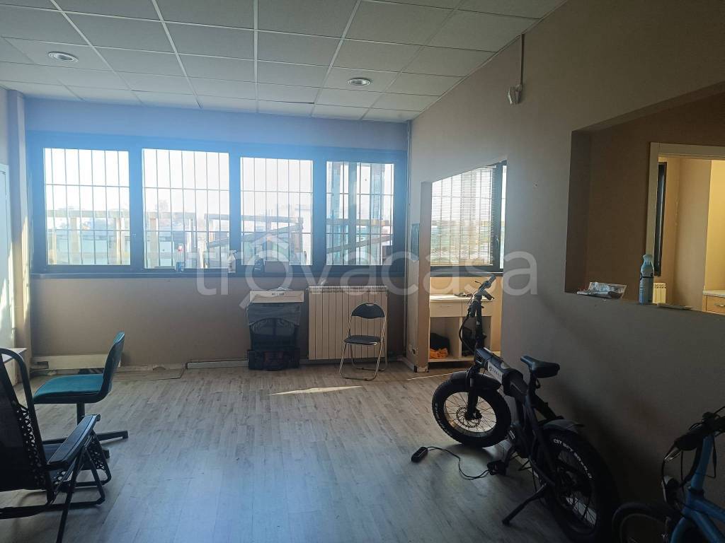 immagine annuncio 9 di 12