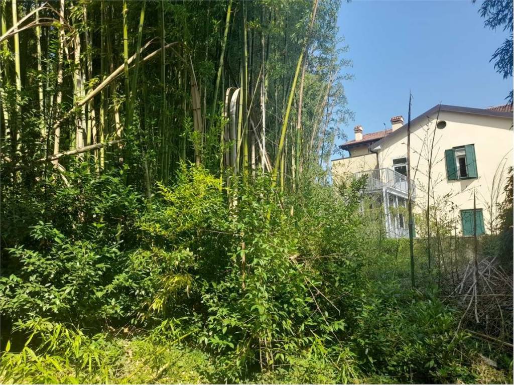 immagine annuncio 5 di 11