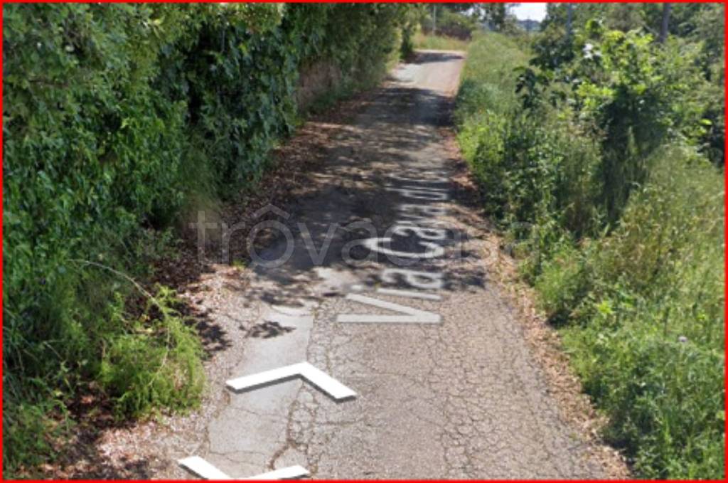 immagine annuncio 2 di 12