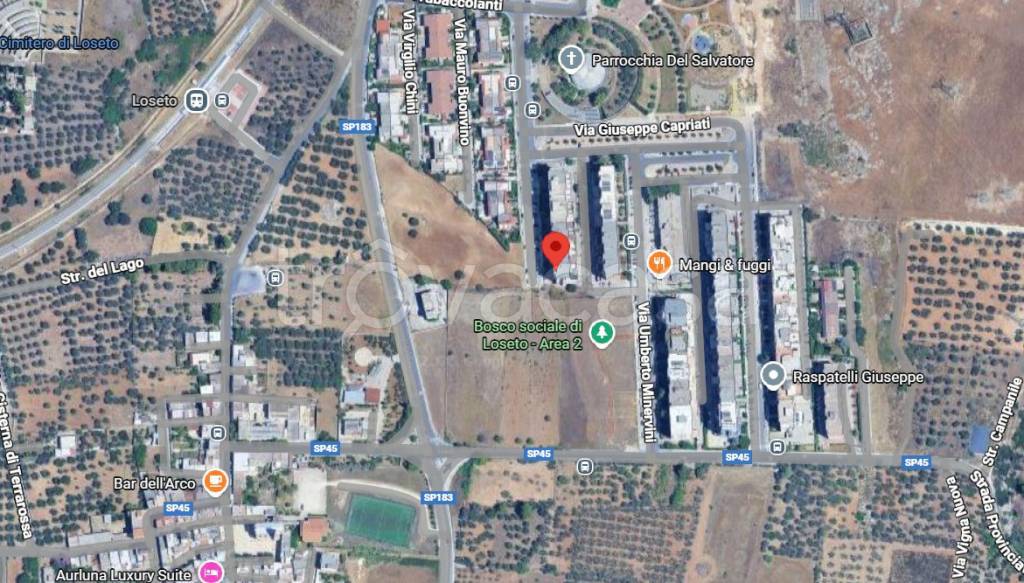 immagine annuncio 6 di 15