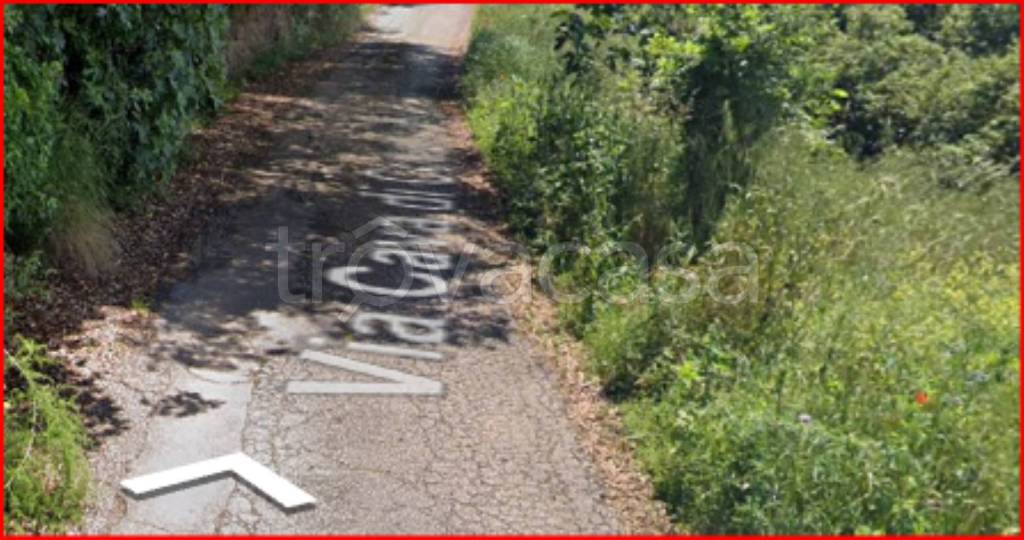 immagine annuncio 5 di 12