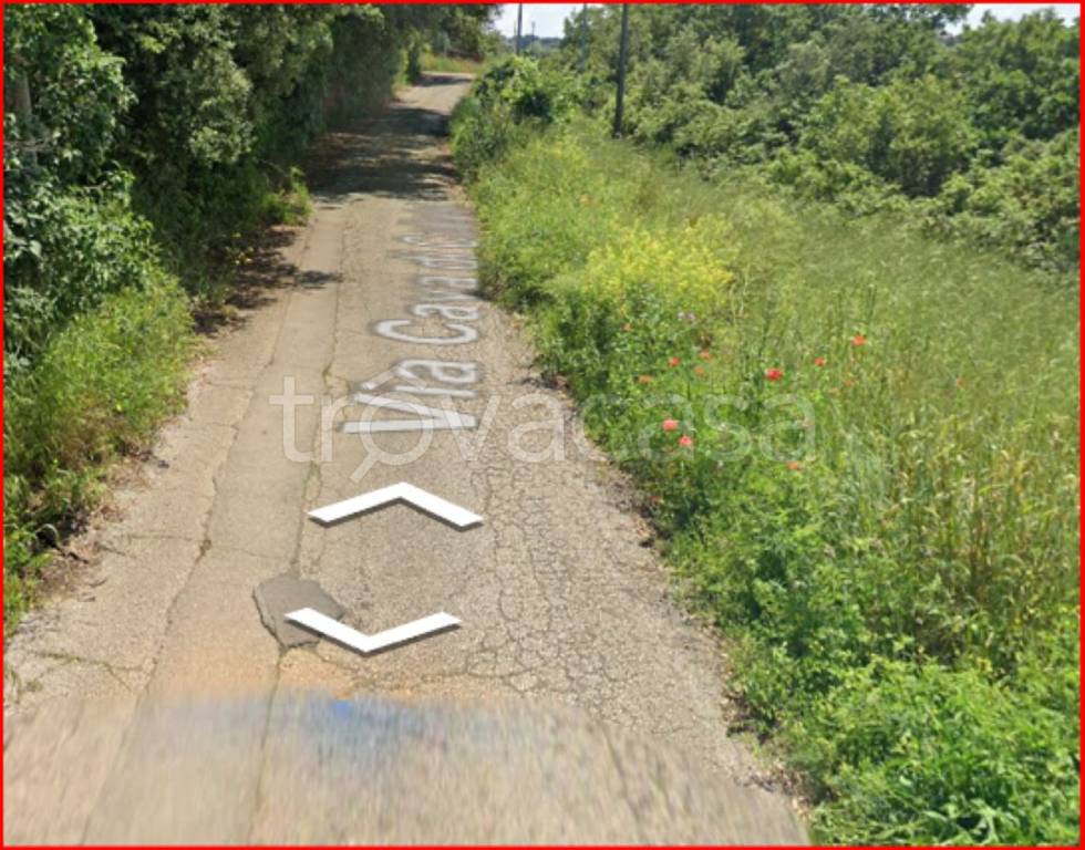 immagine annuncio 6 di 12