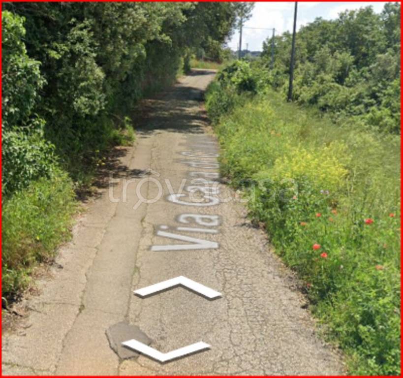 immagine annuncio 7 di 12