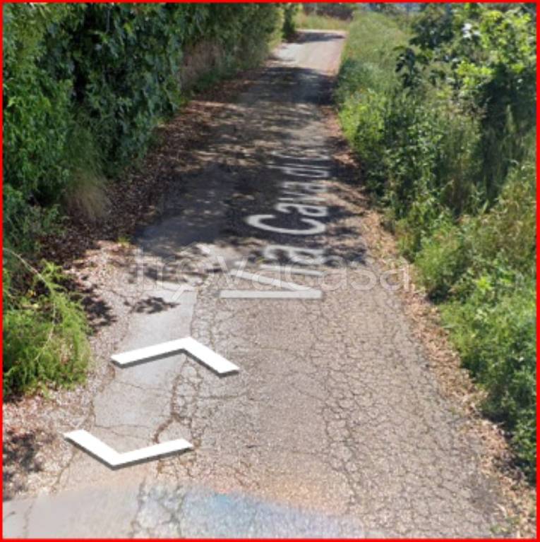 immagine annuncio 8 di 12