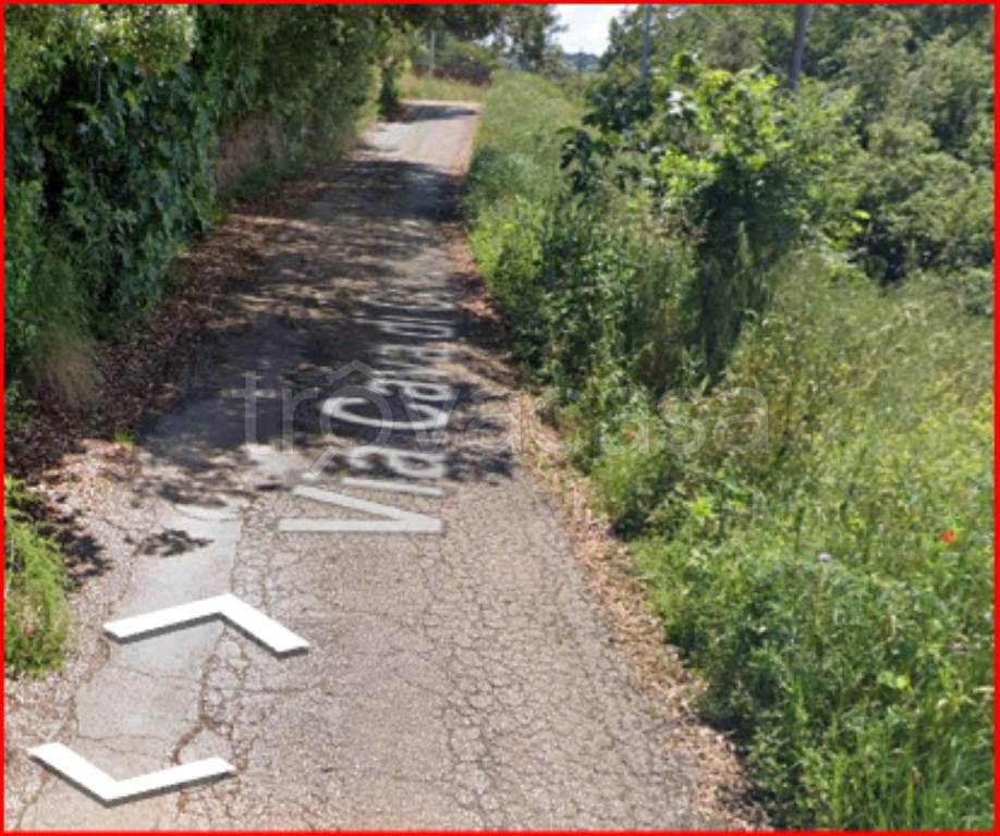 immagine annuncio 9 di 12