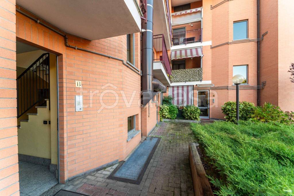 immagine annuncio 2 di 15