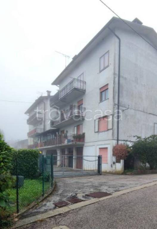 immagine annuncio 7 di 12