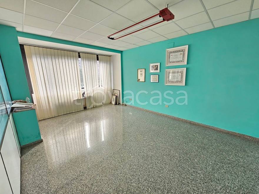 immagine annuncio 5 di 8