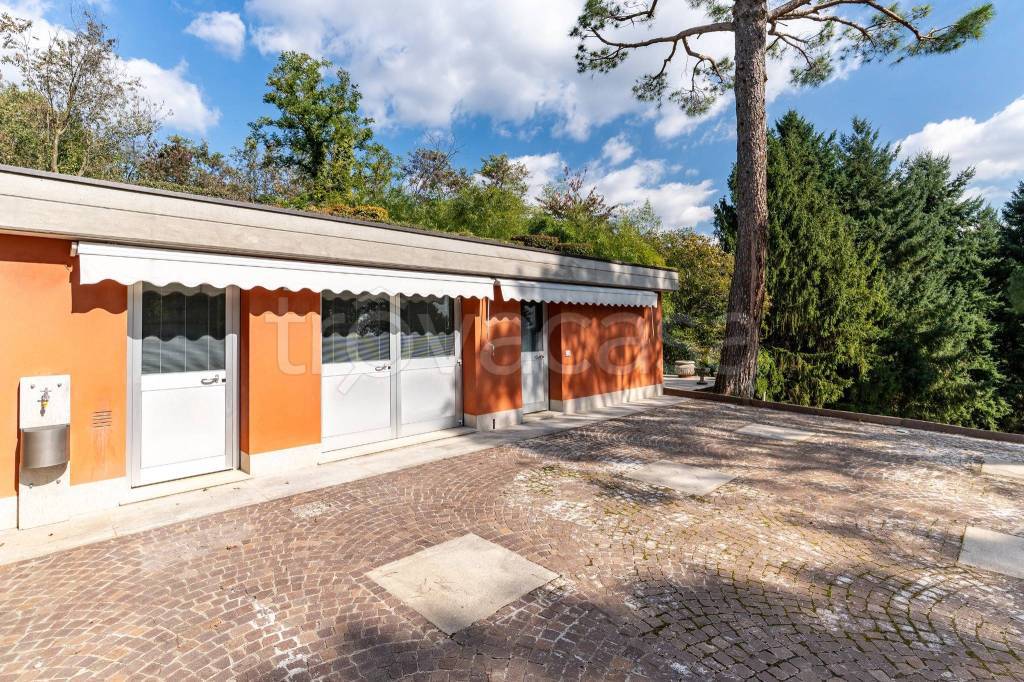 immagine annuncio 3 di 15