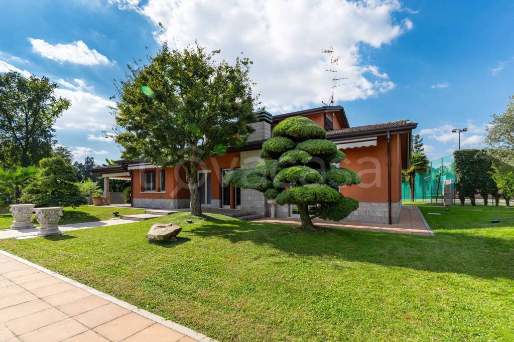 immagine annuncio 11 di 15