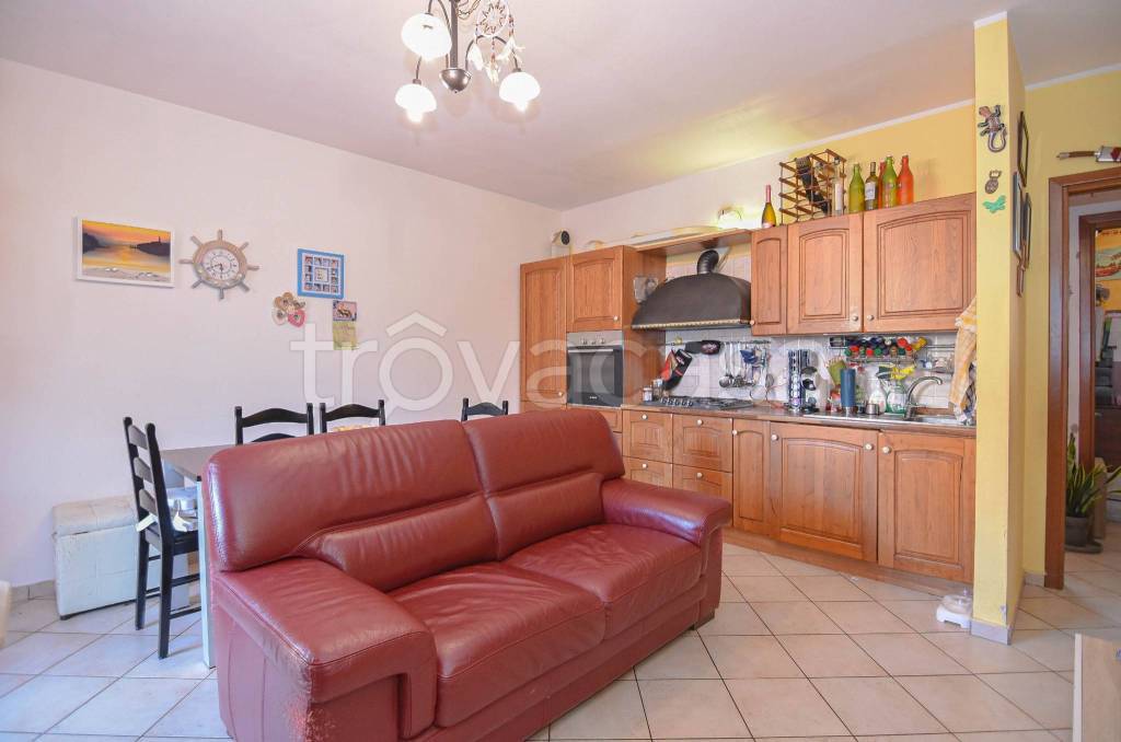 immagine annuncio 12 di 15