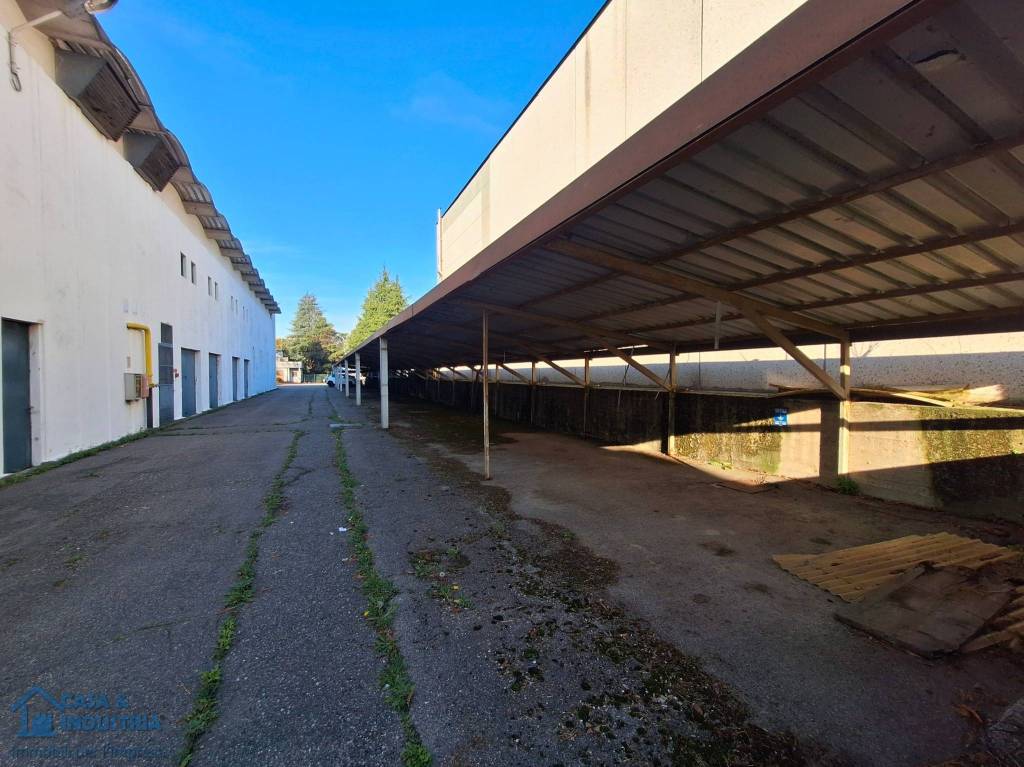 immagine annuncio 4 di 15