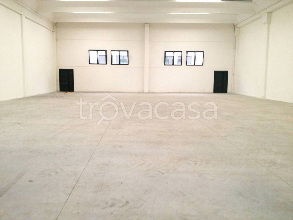 immagine annuncio 3 di 9