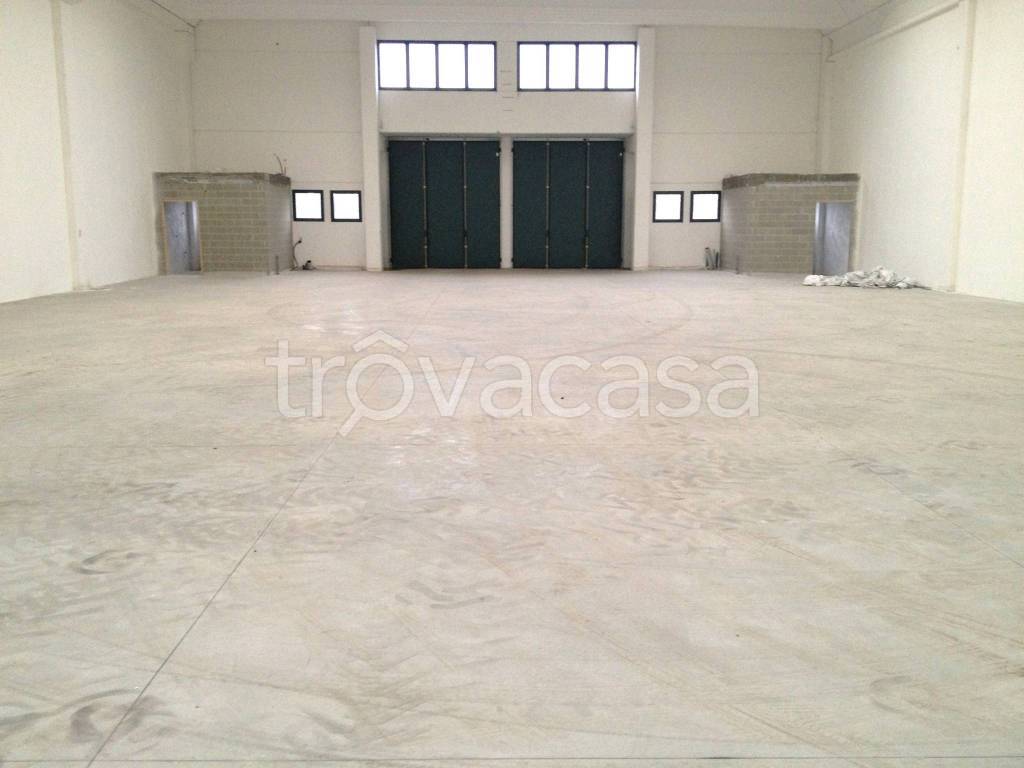 immagine annuncio 4 di 9