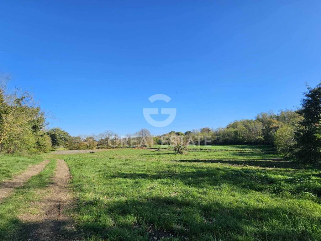 immagine annuncio 4 di 14