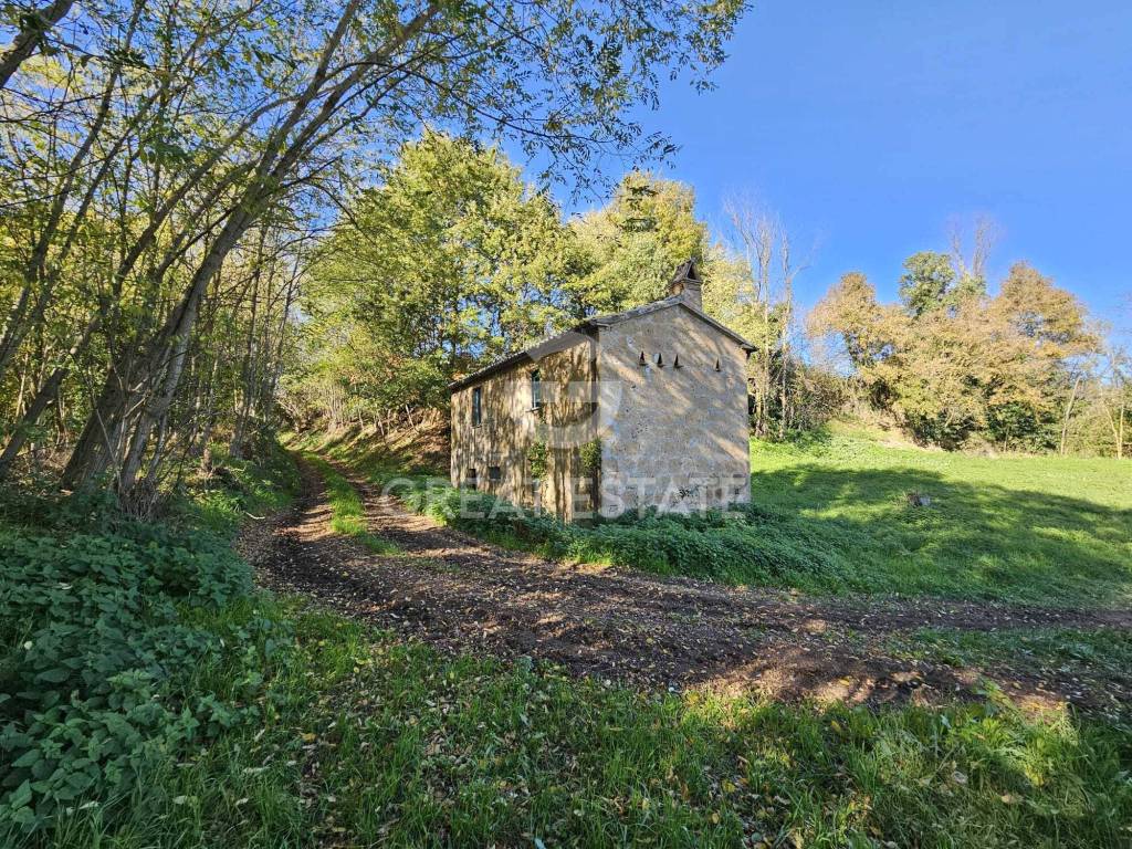 immagine annuncio 5 di 14