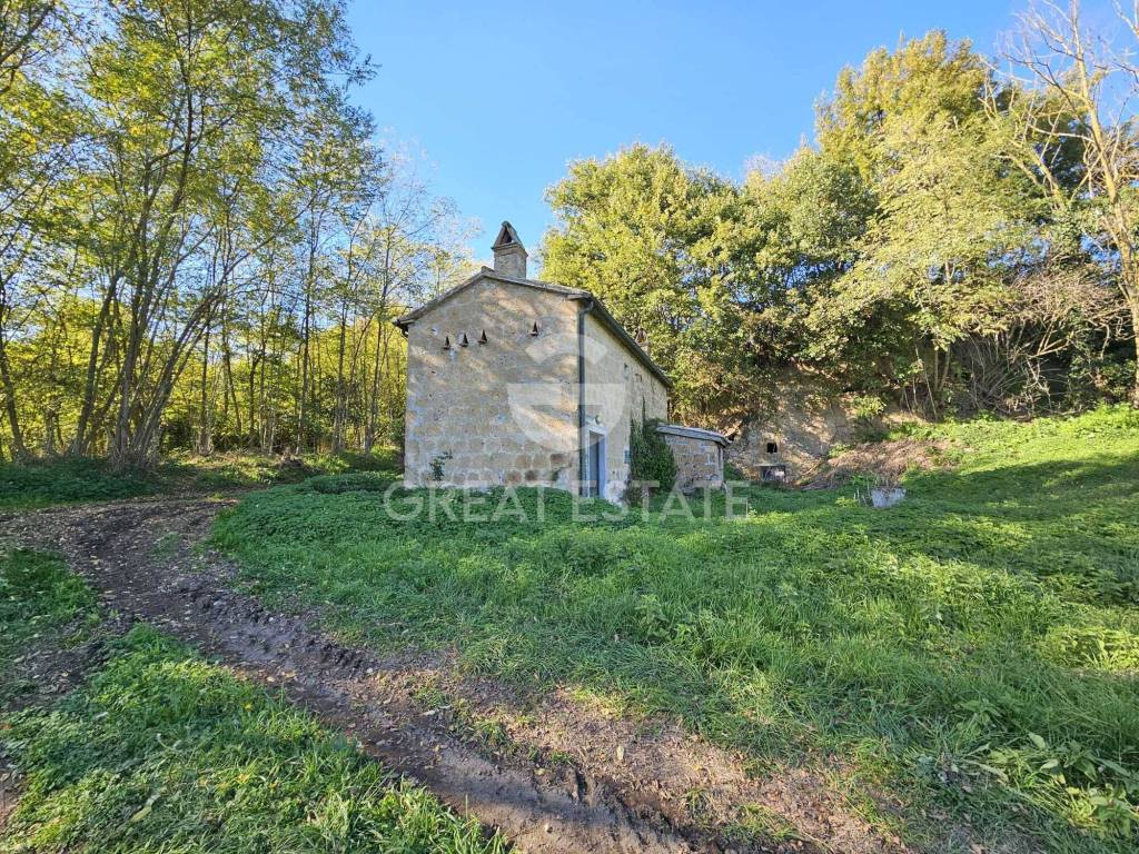 immagine annuncio 6 di 14