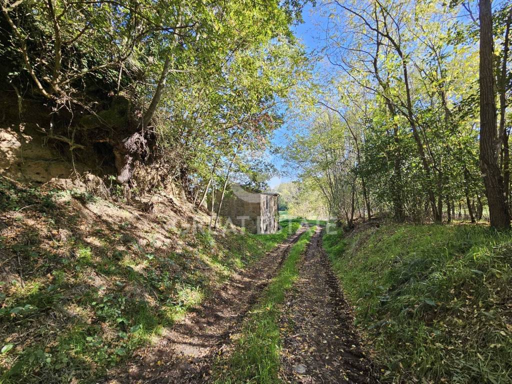 immagine annuncio 7 di 14