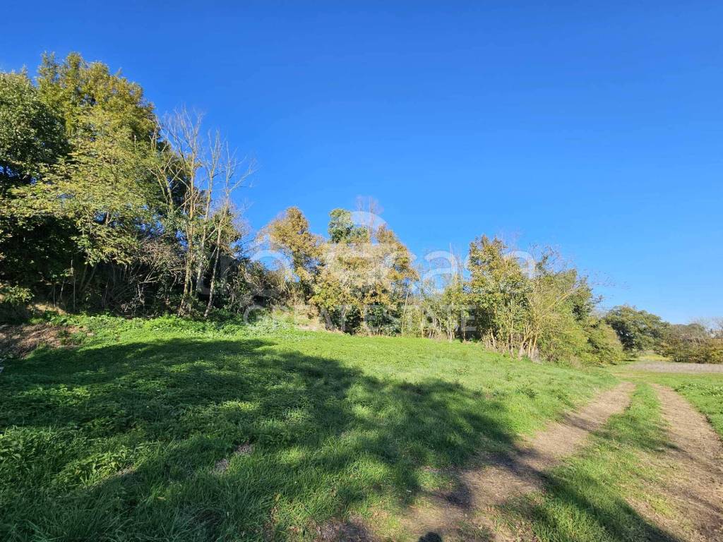 immagine annuncio 8 di 14