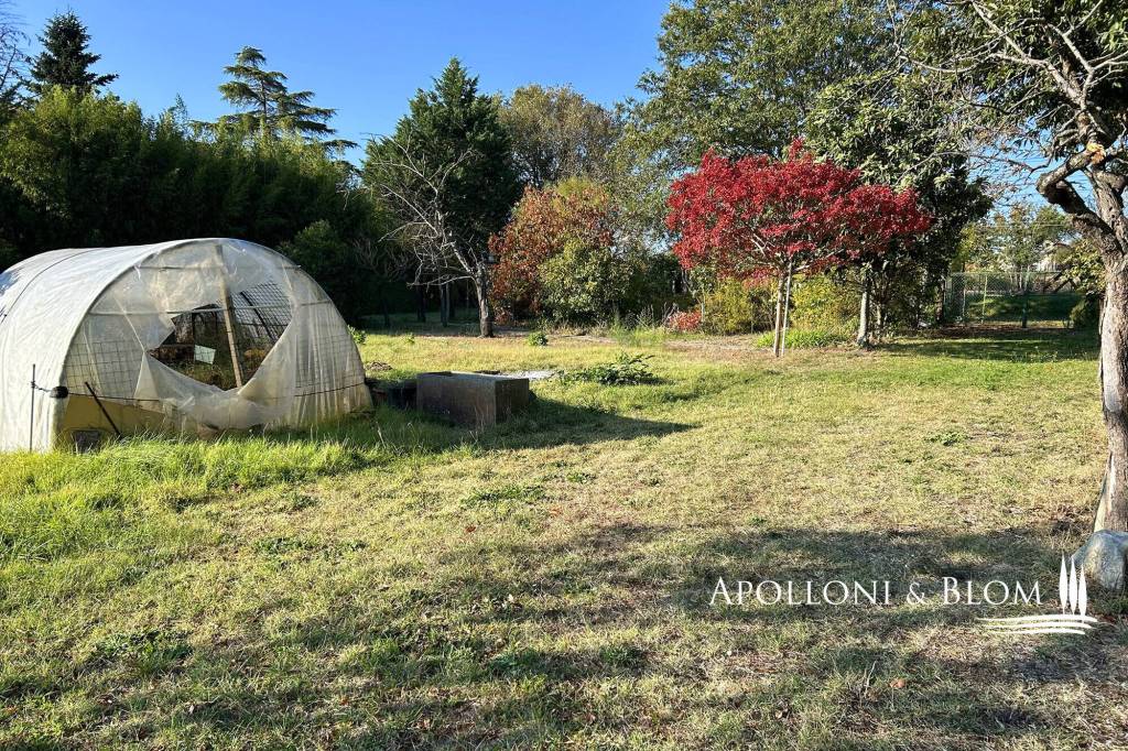 immagine annuncio 3 di 14