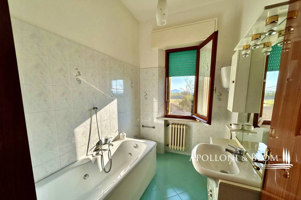 immagine annuncio 9 di 14