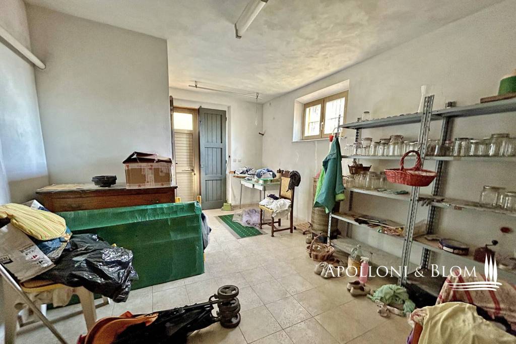 immagine annuncio 12 di 14