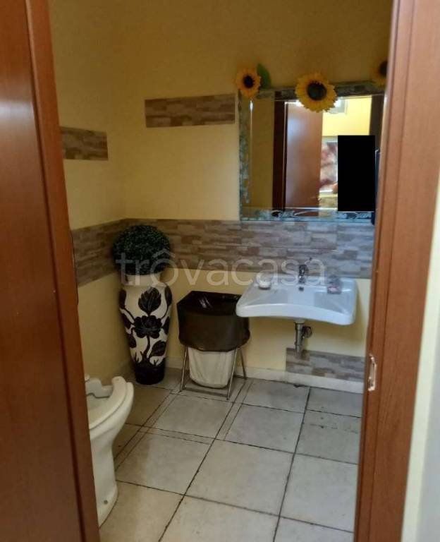 immagine annuncio 10 di 14