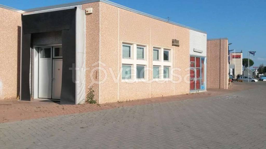 immagine annuncio 11 di 14