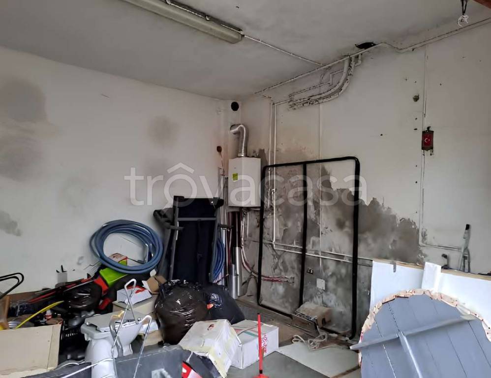 immagine annuncio 6 di 12