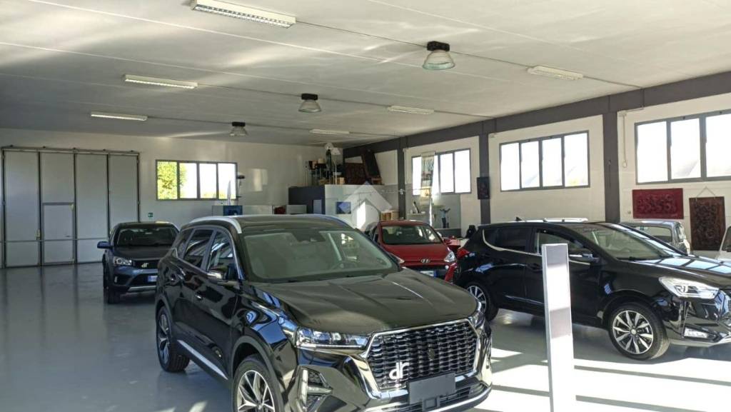 immagine annuncio 1 di 13