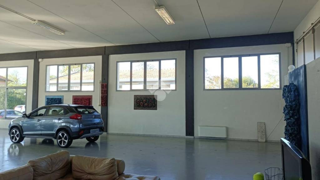 immagine annuncio 7 di 13