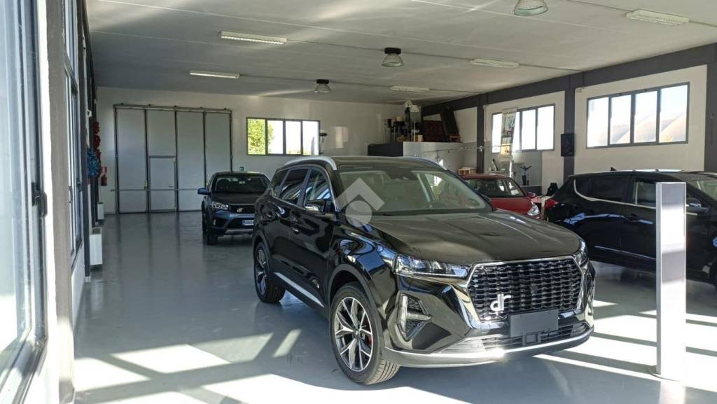 immagine annuncio 11 di 13