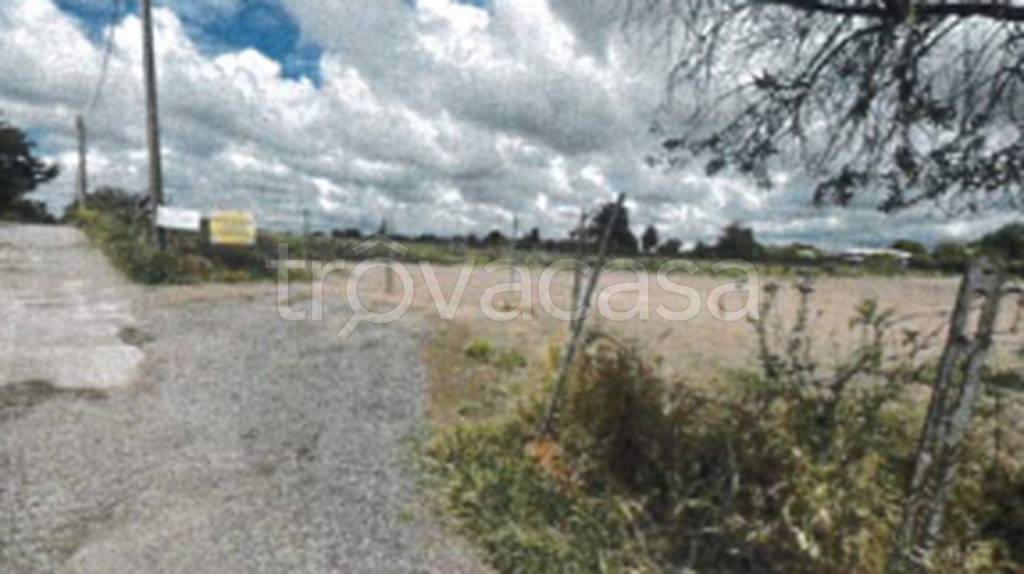 immagine annuncio 8 di 11